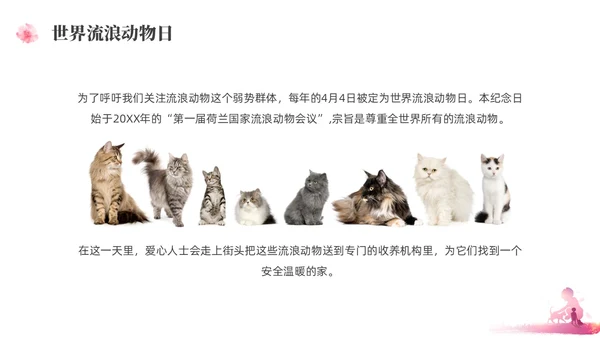紫红色水彩简约关爱流浪动物宣传教育PPT课件