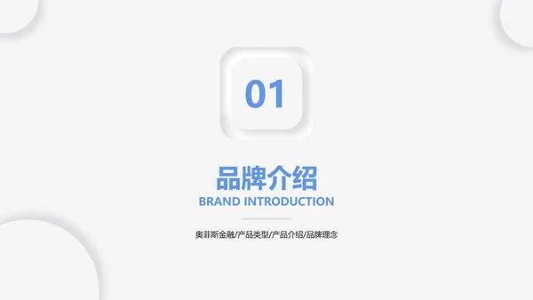 简约风灰白色金融理财产品介绍PPT