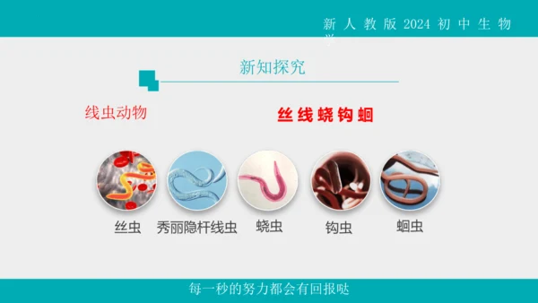 人教版生物七年级上册2.2.1《无脊椎动物》教学课件(共40张PPT)+视频素材