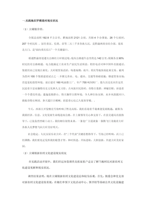 暑期三下乡调研研究报告.docx