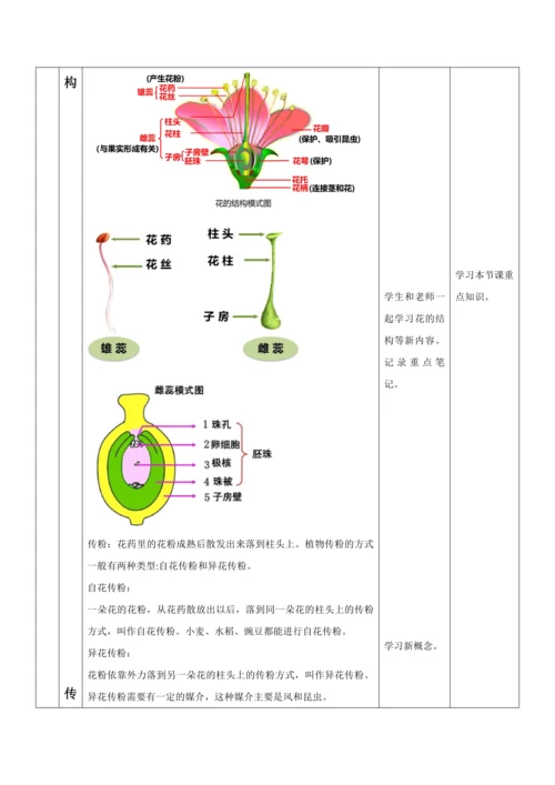 【大单元教学】人教版（2024）生物七下 3.1.3开花和结果 教学设计