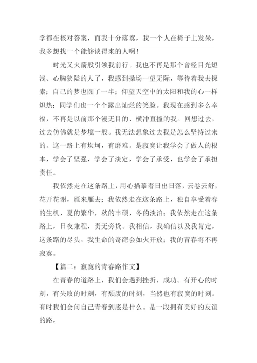 寂寞的青春路作文.docx