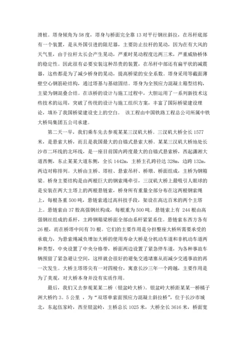 桥的认识实习报告集合七篇.docx