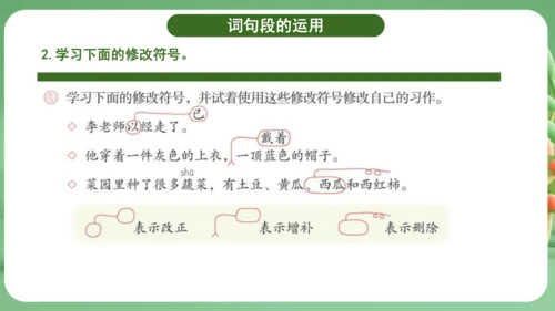 统编版2024三年级语文上册第三单元复习   课件