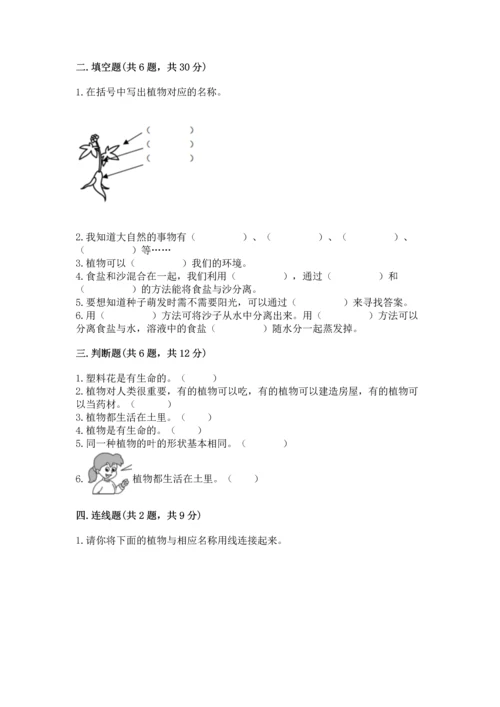 教科版科学一年级上册第一单元《植物》测试卷带答案（完整版）.docx