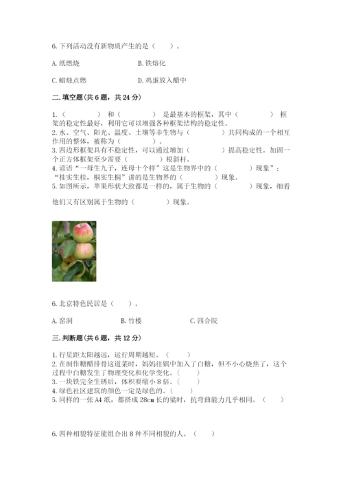 教科版六年级下册科学期末测试卷（word）.docx