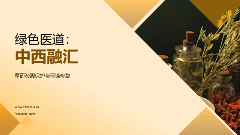 绿色医道：中西融汇