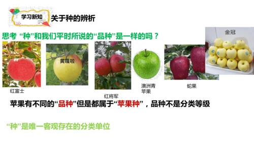 人教版生物七年级上册2.4.2《生物分类的方法——从种到界》课件(共26张PPT)