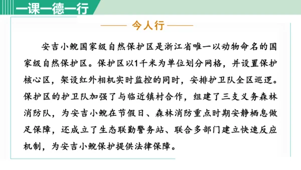 2. 济南的冬天 第2课时课件 七年级语文上册（部编版 五四学制2024）
