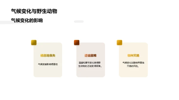 关爱野生动物，共同保护生物多样性