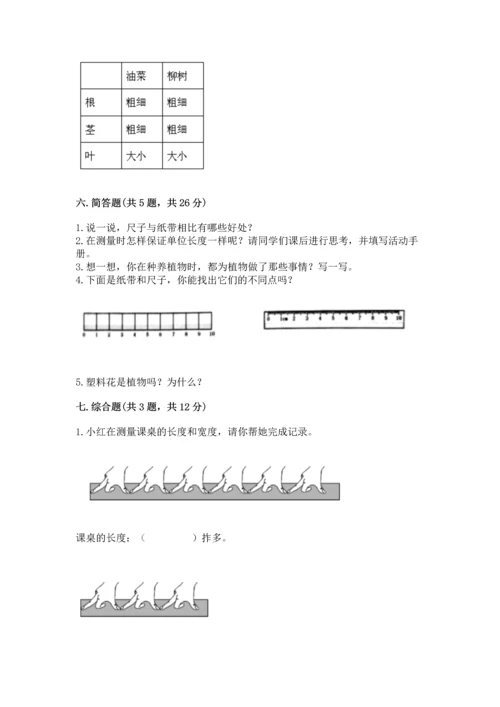 教科版一年级上册科学期末测试卷带答案（新）.docx