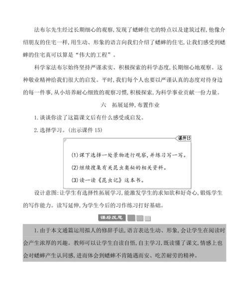 11蟋蟀的住宅 教案