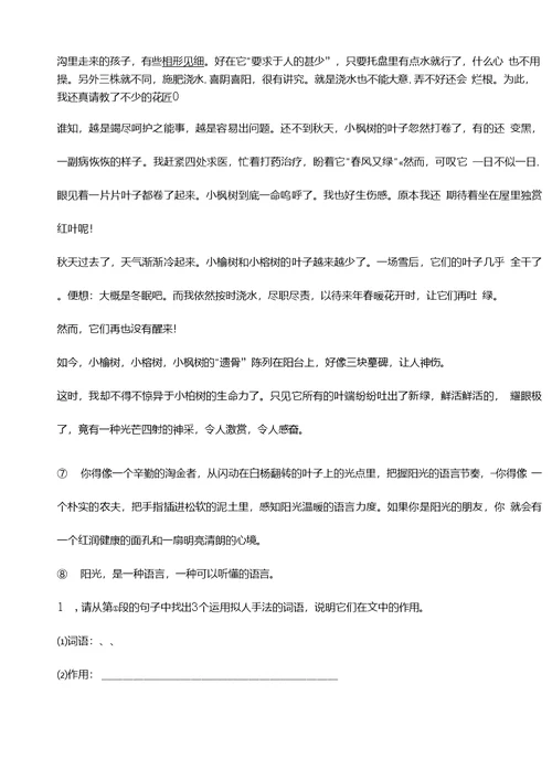 初四语文上册第二单元复习学案教案