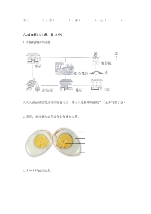 教科版科学三年级下册 期末测试卷带答案（最新）.docx