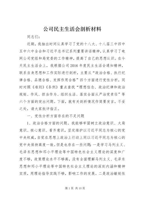 公司民主生活会剖析材料.docx