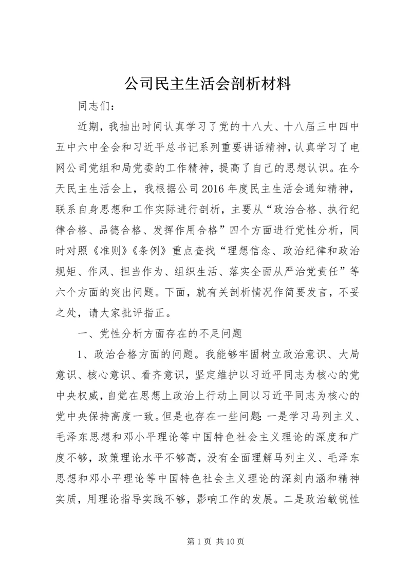 公司民主生活会剖析材料.docx