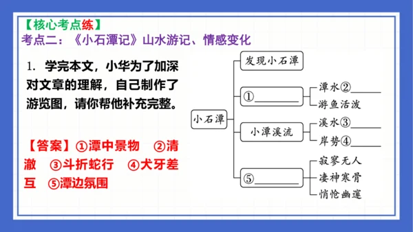 第三单元复习课件 2023-2024学年统编版语文八年级下册(共58张PPT)