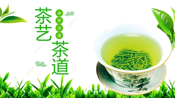 绿色唯美茶艺茶道茶园文化品茶论道PPT模板