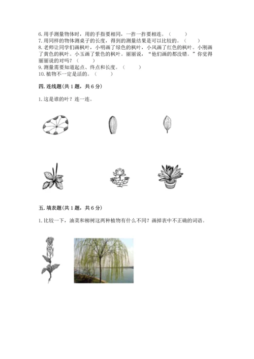 教科版小学一年级上册科学期末测试卷附参考答案（轻巧夺冠）.docx