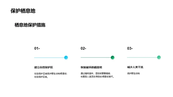 野生动物：生态守护者