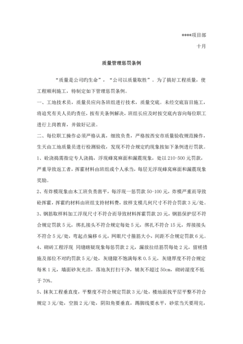 建设关键工程专项项目管理新版制度范本.docx