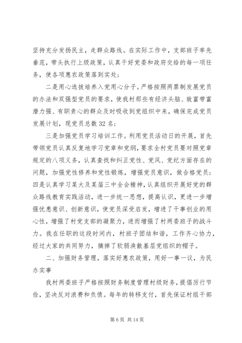 村党支部年度个人年终总结及计划范文精选.docx