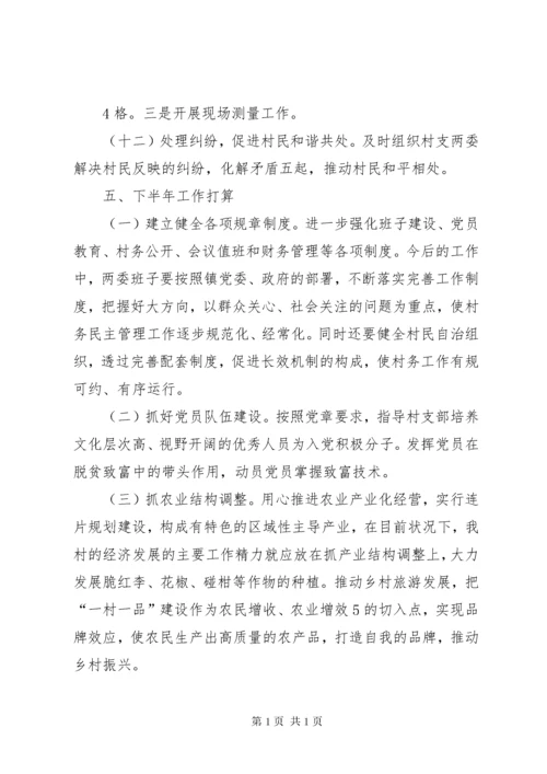 XX年上半年驻村第一书记工作总结.docx