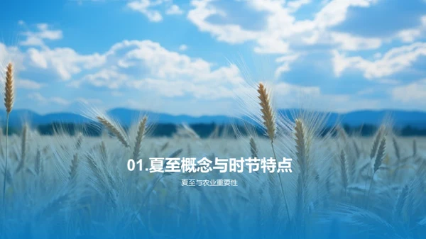 夏至与农业生态