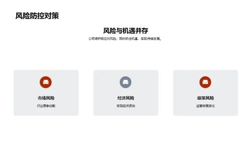 公司战略及业绩分析