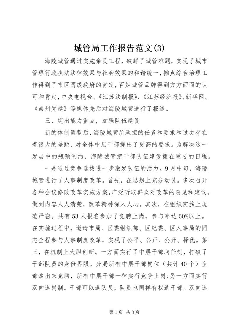 城管局工作报告范文(3).docx