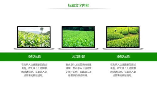 绿色唯美茶园艺术品茶文化茶园PPT模板
