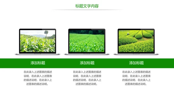 绿色唯美茶园艺术品茶文化茶园PPT模板