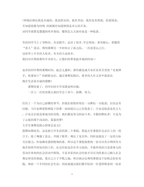 精编暑期实践心得体会范文3篇.docx