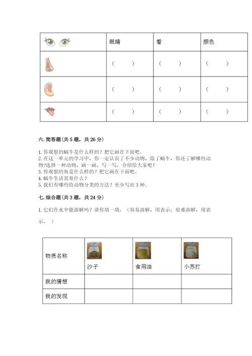 教科版小学科学一年级下册期末测试卷附答案【综合卷】.docx