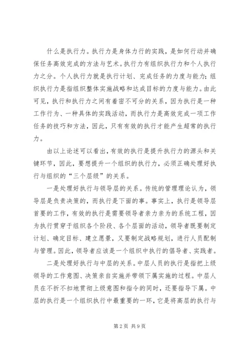 国税执行力调研报告.docx