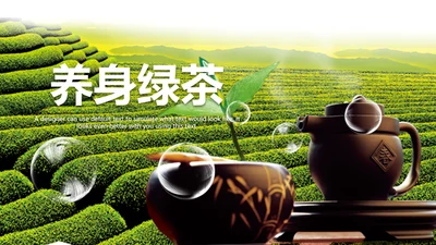 绿茶产品介绍茶叶茶文化春茶紫砂壶PPT