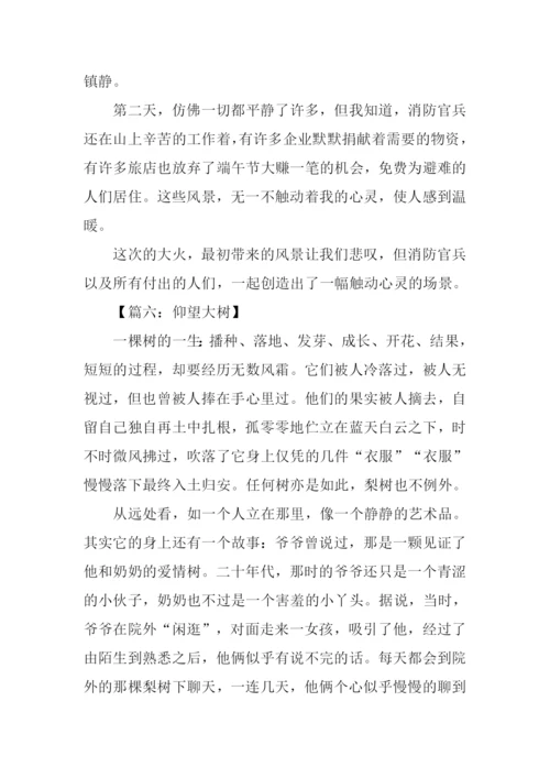 借景抒情的作文700字.docx