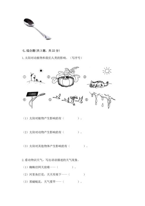 教科版科学二年级上册《期末测试卷》a4版.docx