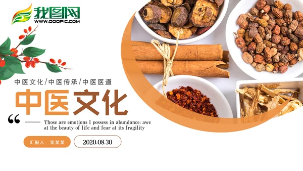 简约中国传统中医中药文化汇报PPT模板
