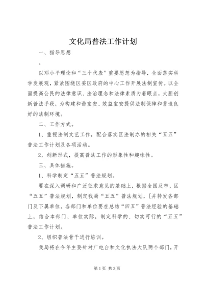 文化局普法工作计划 (10).docx