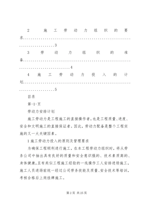 劳动力计划安排.docx