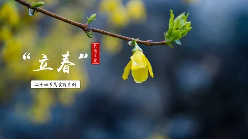 立春简约风二十四节气实践教学课件通用PPT模板