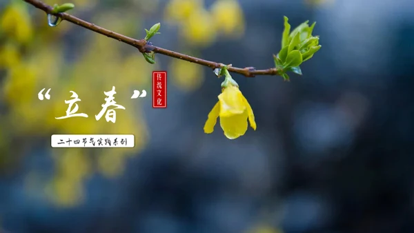 立春简约风二十四节气实践教学课件通用PPT模板