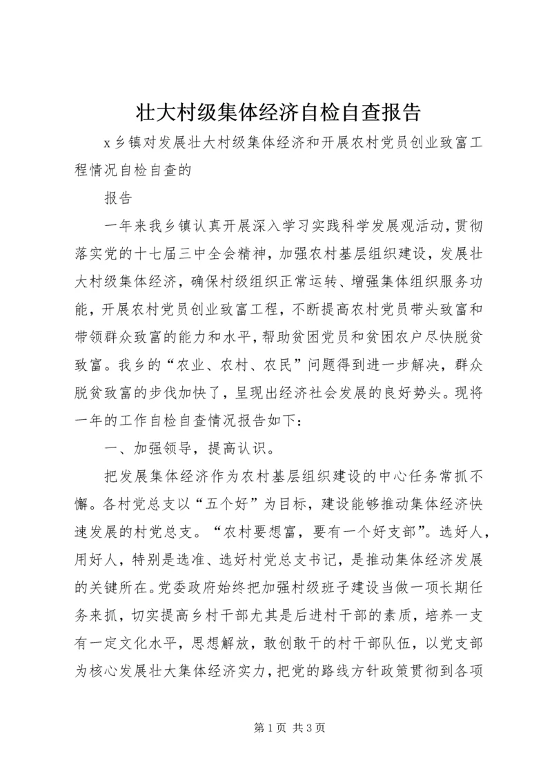 壮大村级集体经济自检自查报告 (2).docx