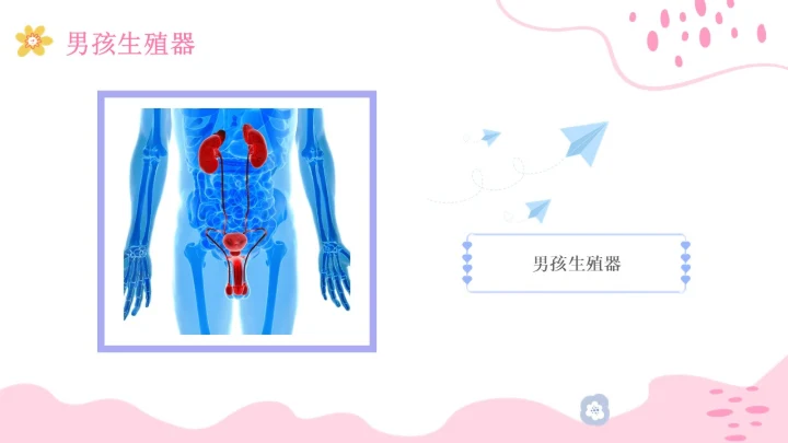 小学生性教育插画主题班会PPT课件