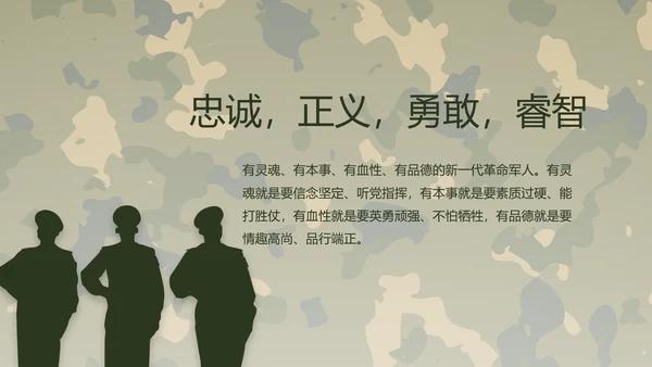 迷彩风部队军事工作总结汇报动态PPT