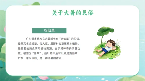 清新绿色插画风大暑二十四节气夏季通用PPT模板