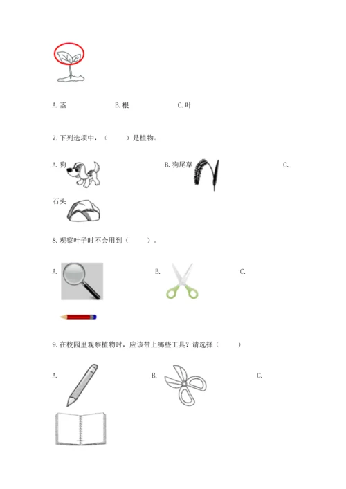 教科版一年级上册科学期末测试卷附完整答案（全优）.docx