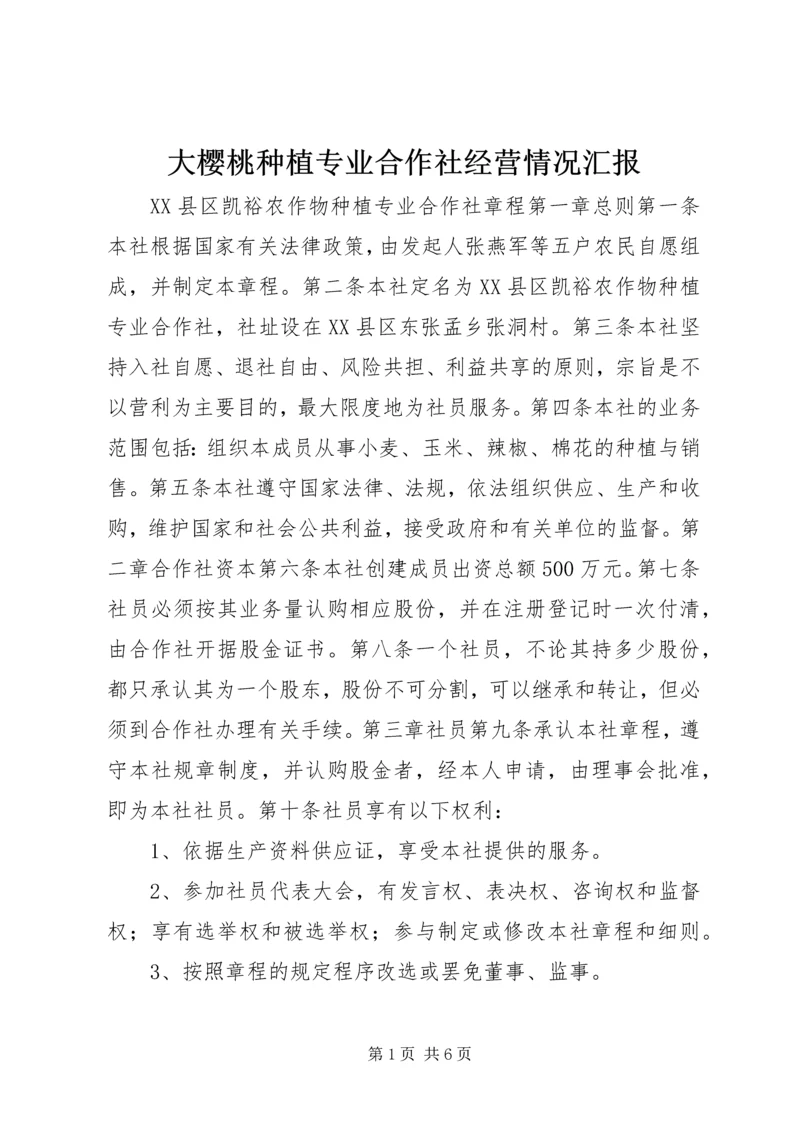 大樱桃种植专业合作社经营情况汇报 (4).docx