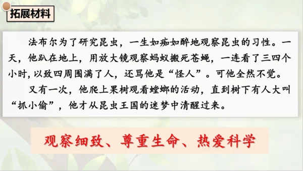 21《蝉》课件